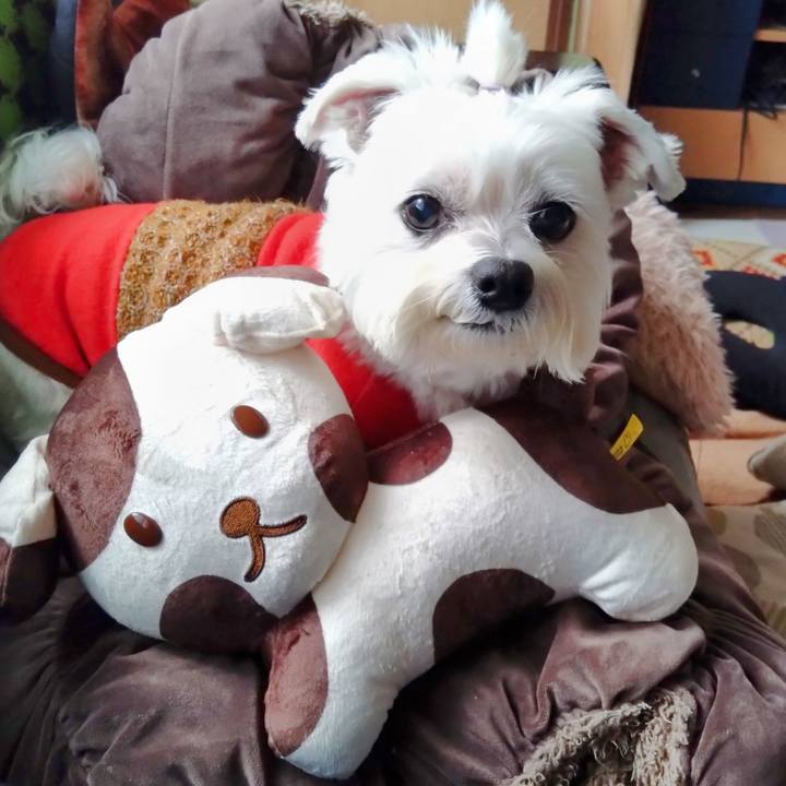 2f8bf8de 8929 41f1 a718 3789a85e6a39 1700113991563