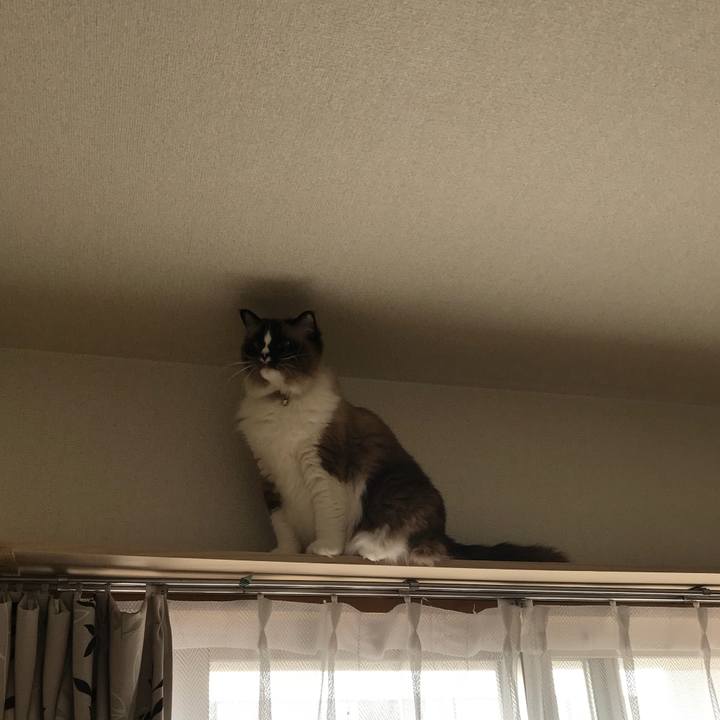 2f8c2693 010d 415d a7f4 f6b23b54c3a1 1526249510409