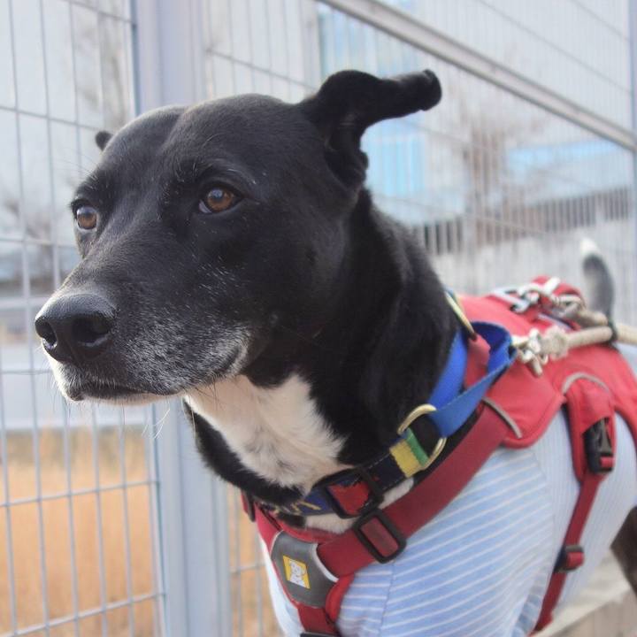 2f8c49fc 3b04 42bf bb85 3f4b343f37eb 1675128796996