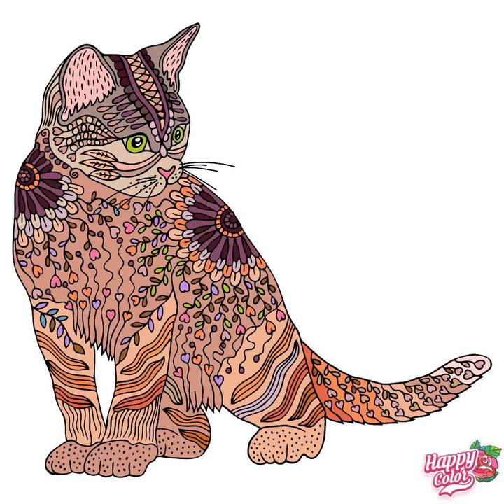 2f8c596c efb4 43bf bd2c f8ed21d50005 1559265398426