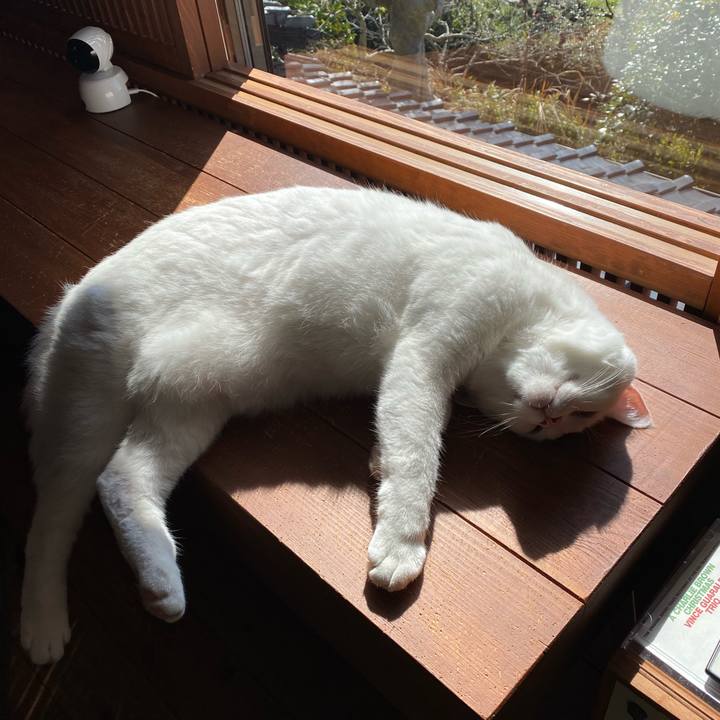 2f8c5e42 113e 4e0b afa7 1f6a6a7ad608 1582079054970