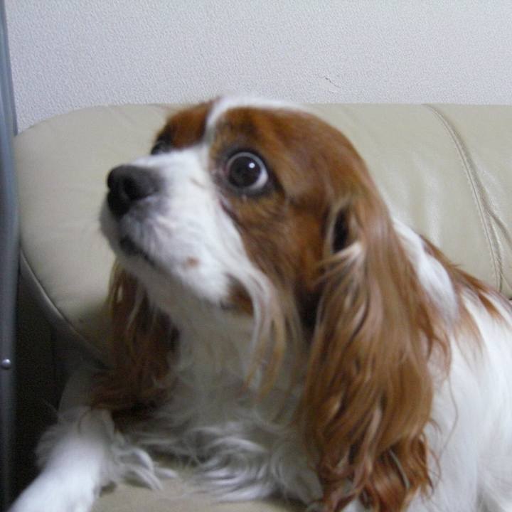 2f8c7300 3d3c 405b a23b 71621c54acf8 1515411898851