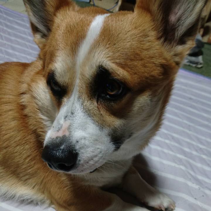 2f8c9baa 414e 4c59 b8e9 13dc94dcf6b4 1625463145678