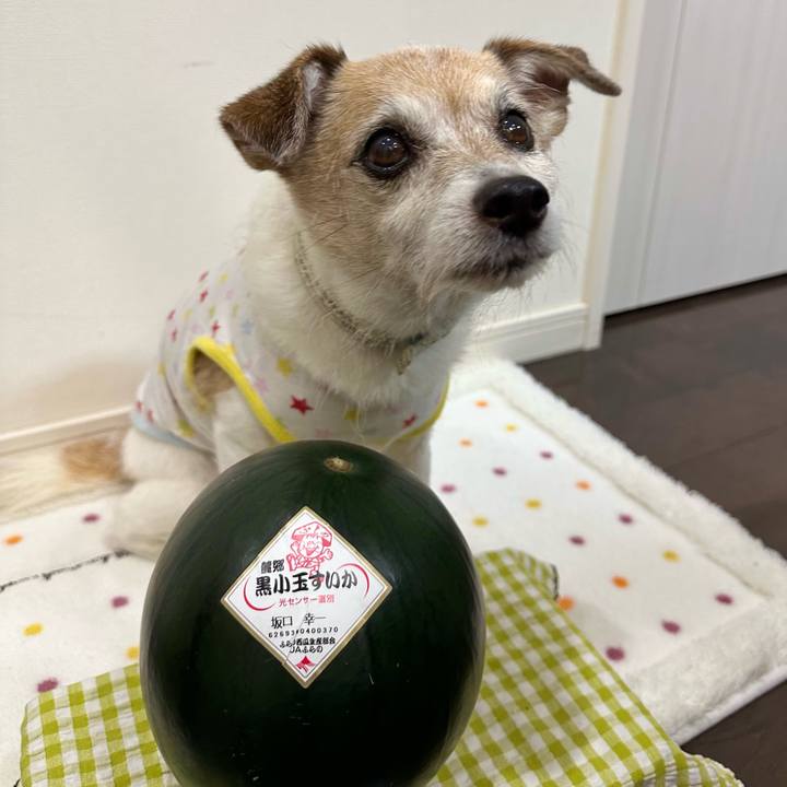 2f8cb182 3f6d 4368 b198 6e393559281e 1690023633924