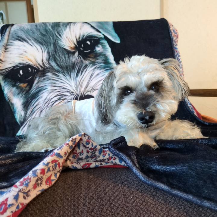 2f8cb7dd 8705 4c08 929b d9581c1f0c02 1751074695618