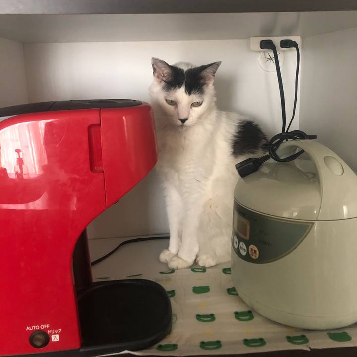 2f8cc846 be5b 488d a012 f11a9a3ed222 1597049121396