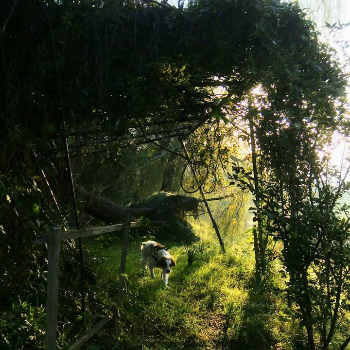 2f8cf9b4 2d3d 4106 82da 110694331333 1540425474038