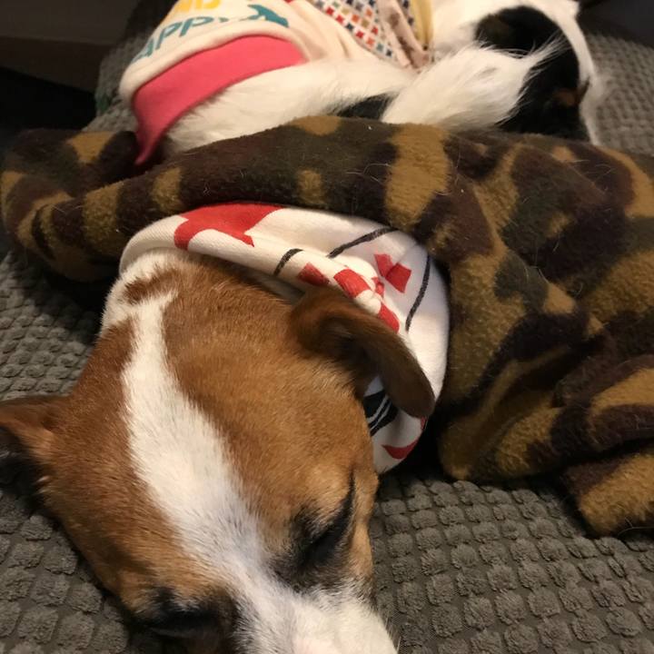 2f8cfbad e91d 4da2 ad8b 4ff07410c282 1510577392496