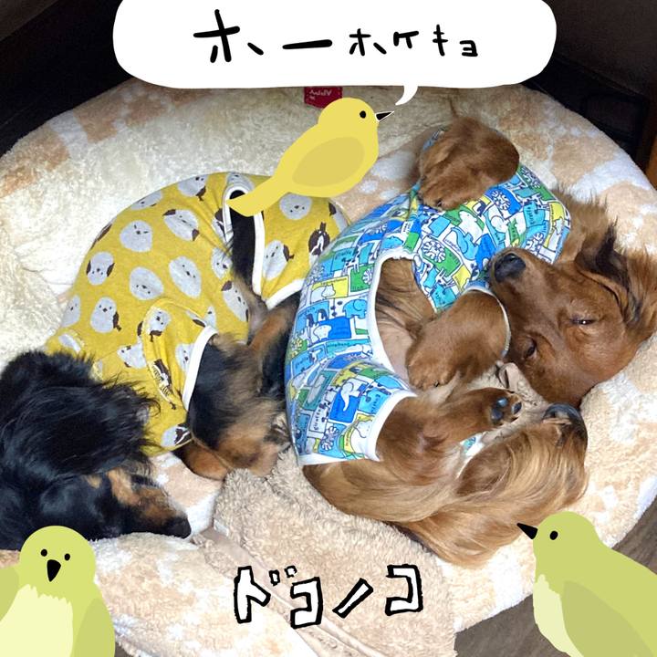 2f8d0a77 e7b2 404c 9833 02129f175950 1711290072753