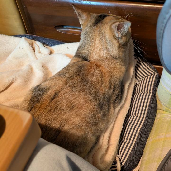 2f8d4dad 8864 49e5 af8c 32dd73de71d4 1765390155755