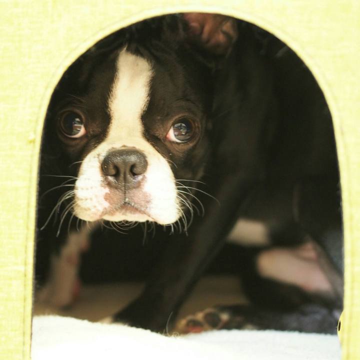 2f8d4f83 b5d3 4246 be6c c38c0ca1b44c 1511180638367