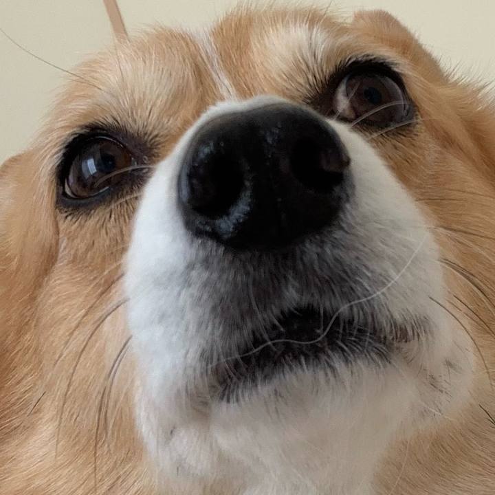 2f8d657e 11e2 49e7 9674 38a76aba3006 1711594387203