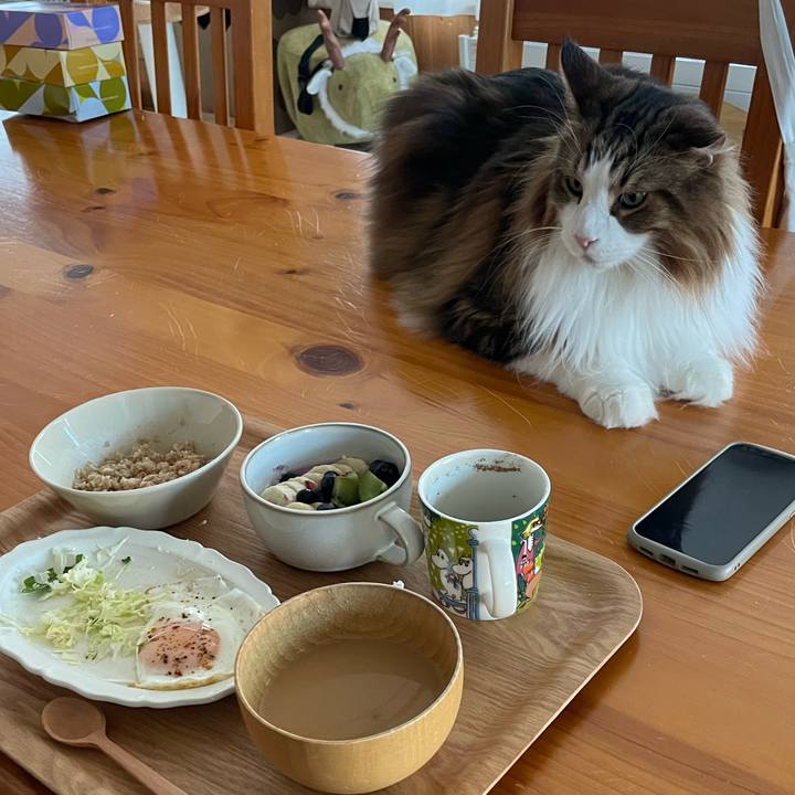 2f8e1bc6 fc46 4505 b6ac c139846773b1 1773179165047