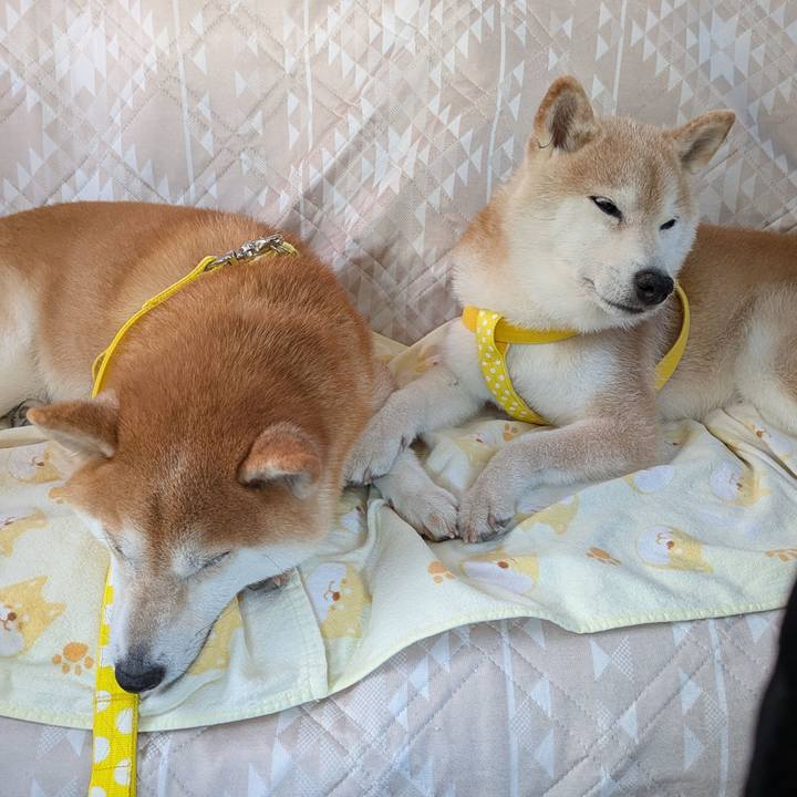 2f8e20cb 9e3f 4434 a774 b5667c8aa173 1753619009105