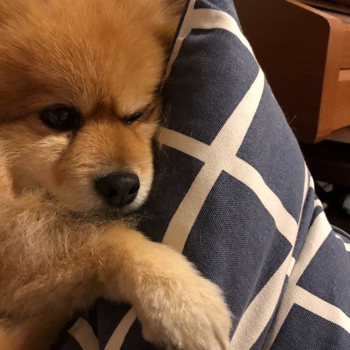 2f8e2826 5451 4d25 b40d 07829b6ad126 1579056096603