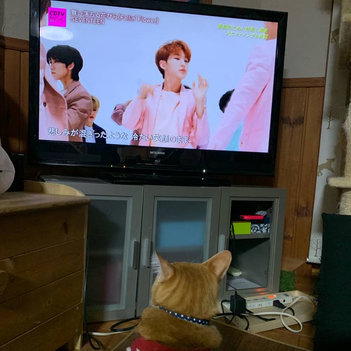 2f8e291b eff8 436f 969a b614a25df7fe 1589204899278