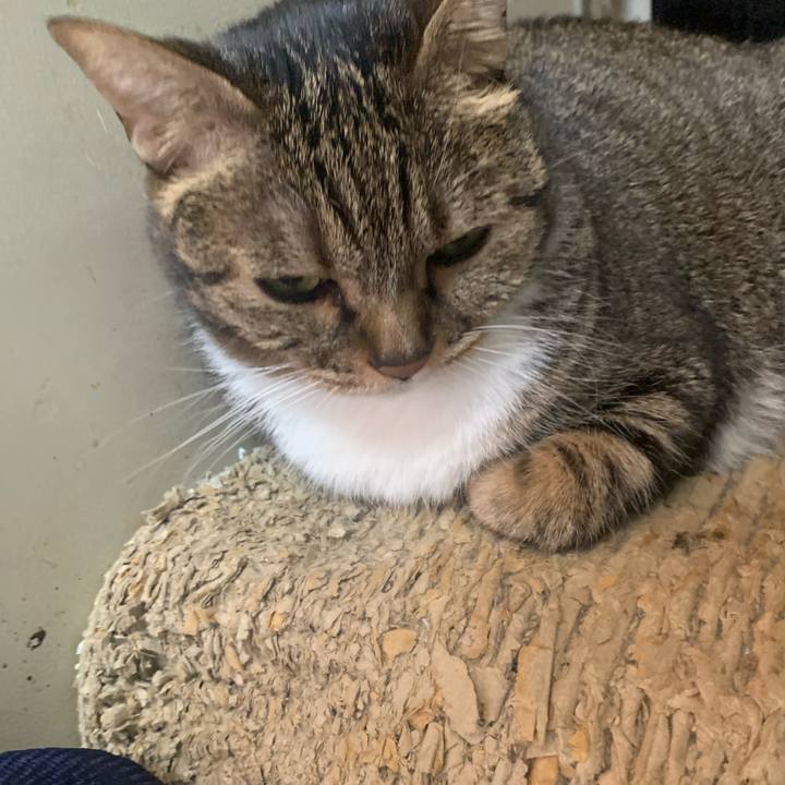2f8e4bb9 45ef 4aac a3b9 79cd6e5d2e0c 1698795212445