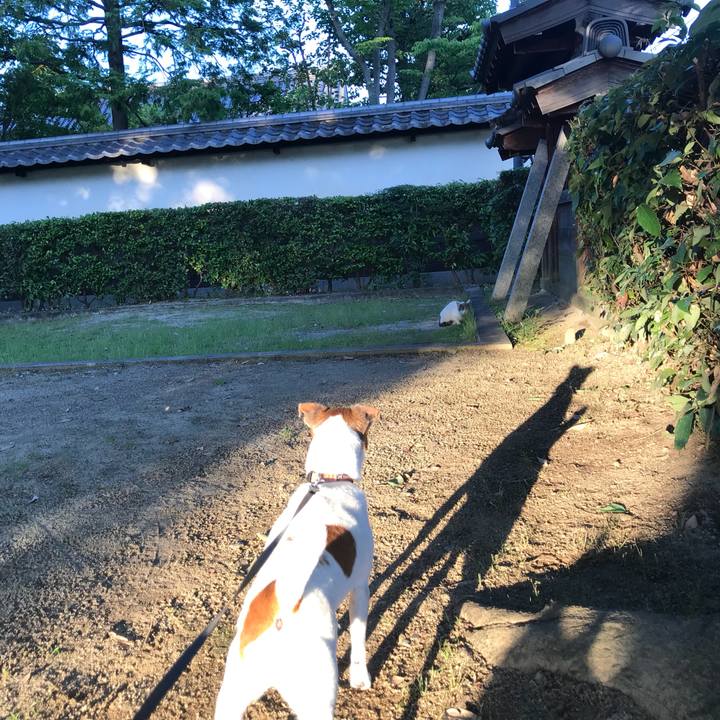 2f8e5c4a 7434 4c65 ab00 2ac809fdb1ff 1529156482926