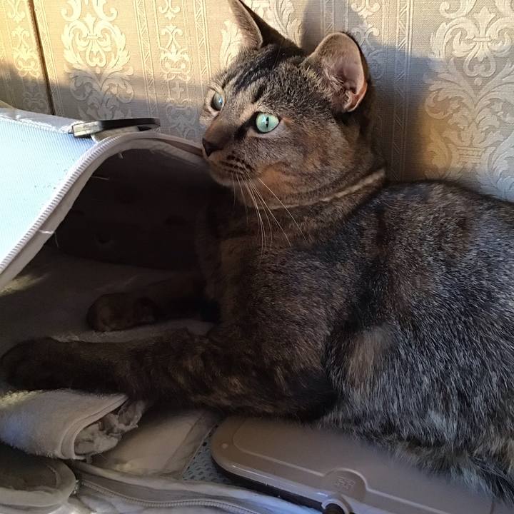 2f8e8a05 36c0 4a2b b148 0d310df4c052 1667560880197