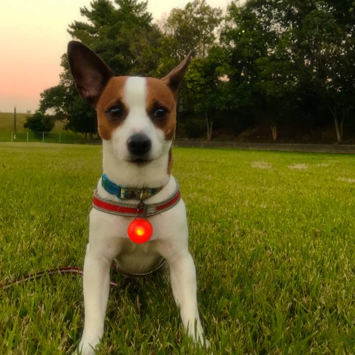 2f8edf63 aa75 4be4 a276 730402ee33d8 1509530620480