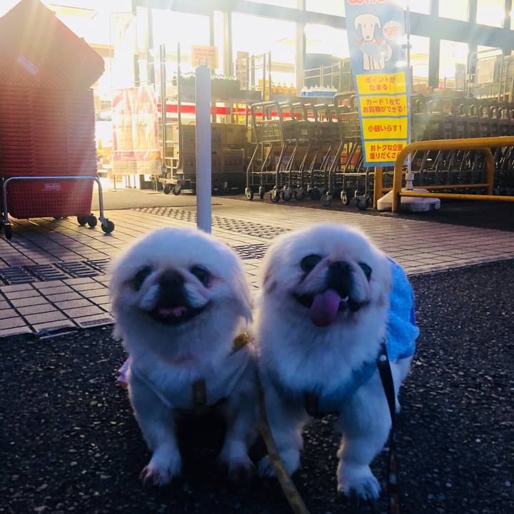 2f8ef231 ae6e 4011 b3ee a89619b18d10 1597460043311