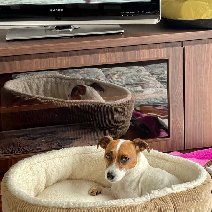 2f8effa9 1c2c 435f 97f7 78e15523858d 1649026700712