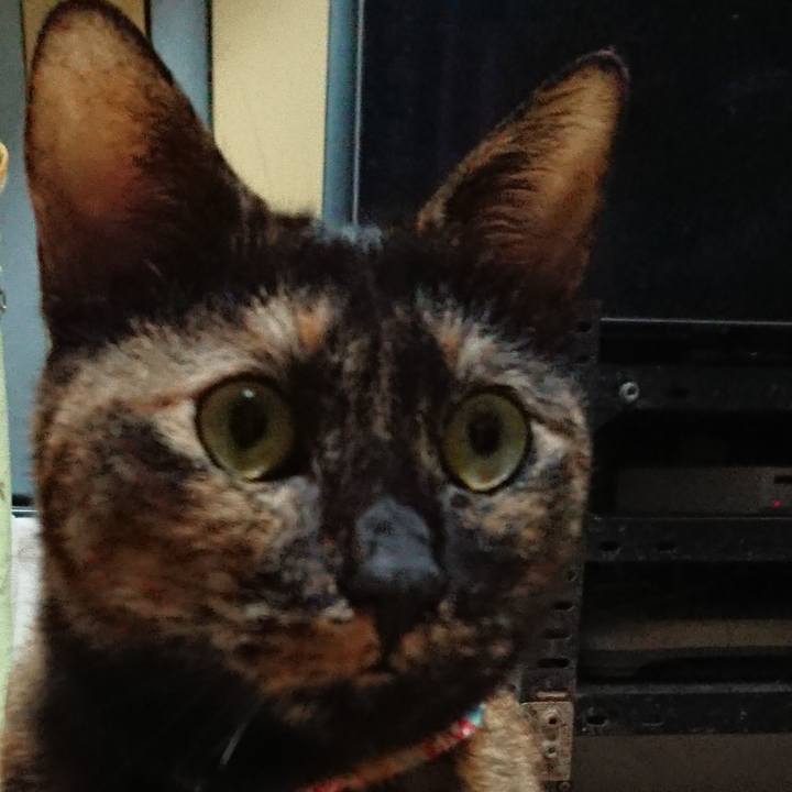 2f8f3be0 1acf 4026 bac9 8d40971495c5 1531309612133