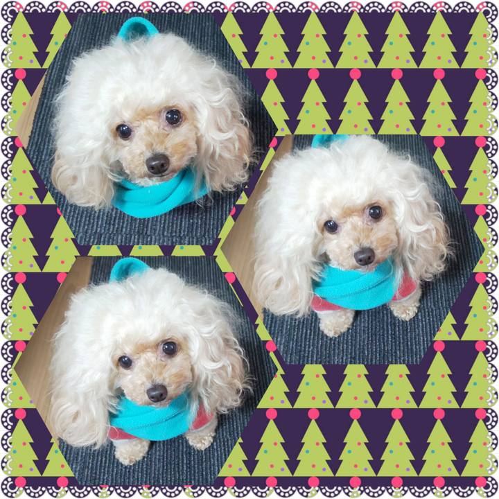 2f8f4e54 bfa6 4572 99fa a8216d21ab61 1639642961028