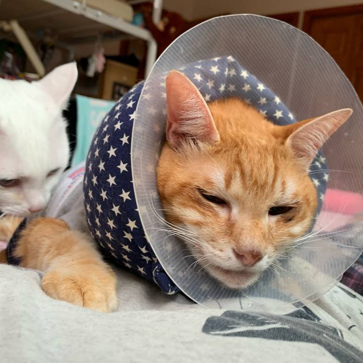 2f8f59b3 3747 4237 928c a515662c9bd1 1629697305092