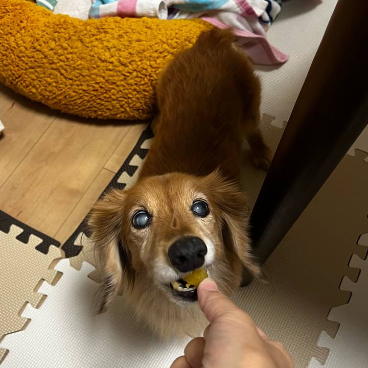 2f8fd166 d352 444f 99ff b565aa2df230 1669035714303