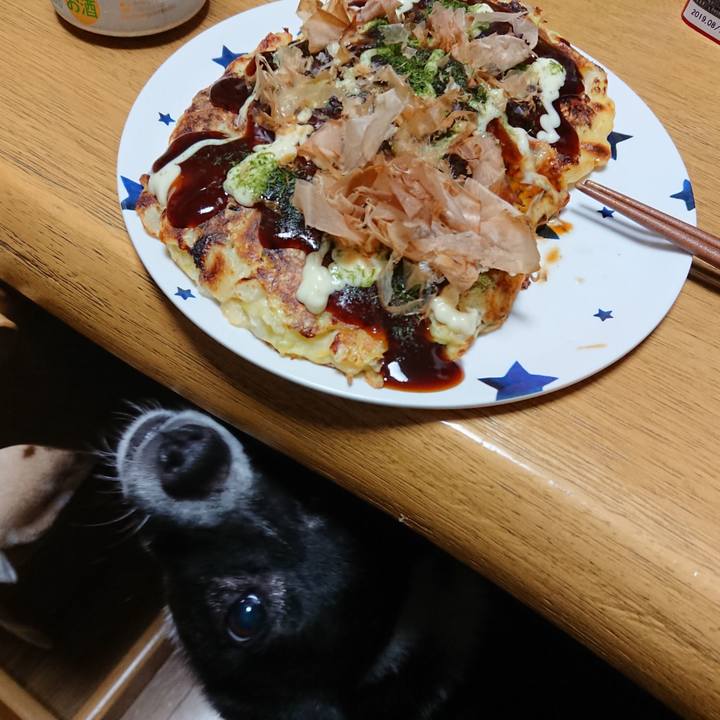 2f8fd526 bb69 46f8 b6f0 6fc1c75cf23f 1543752356312