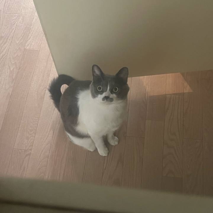 2f8fe3bc c3ee 4631 8c6c a966a4e45a6d 1702017691581