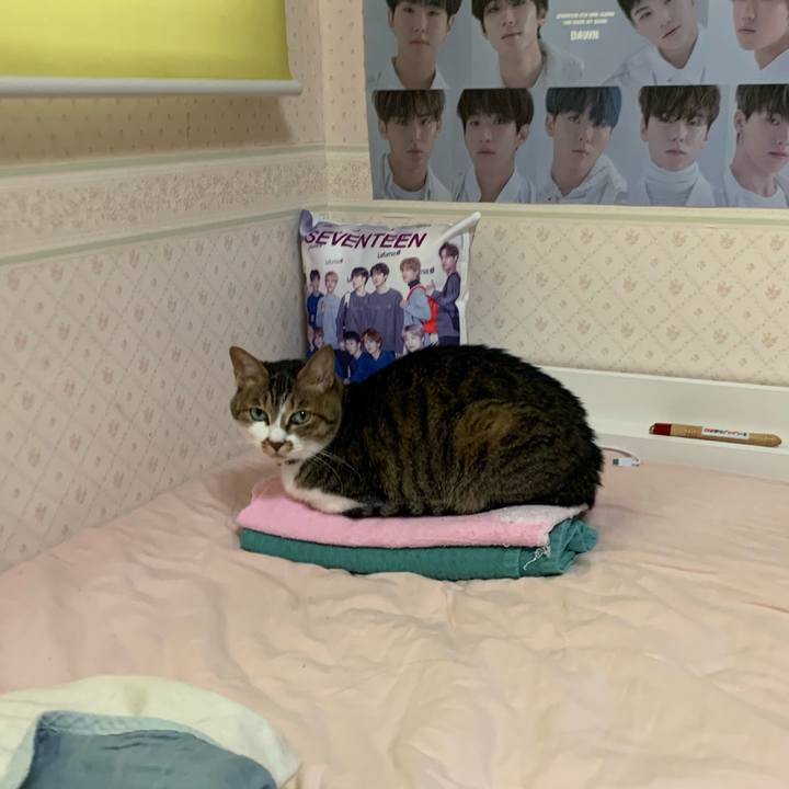 2f8ff558 aa45 4d50 8f36 5d7c1d25215b 1589551475156