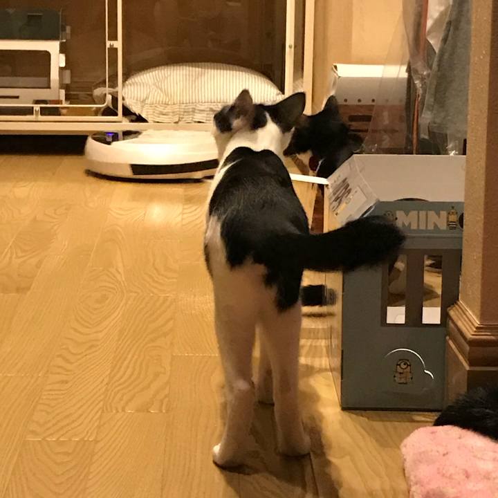 2f900754 b175 411a abf0 879d2567feb9 1508594299922