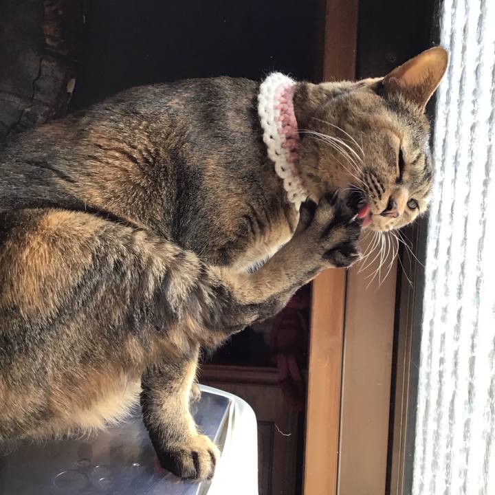 2f904aac 13ea 4d9e acfa 95d8ca174923 1740899174875