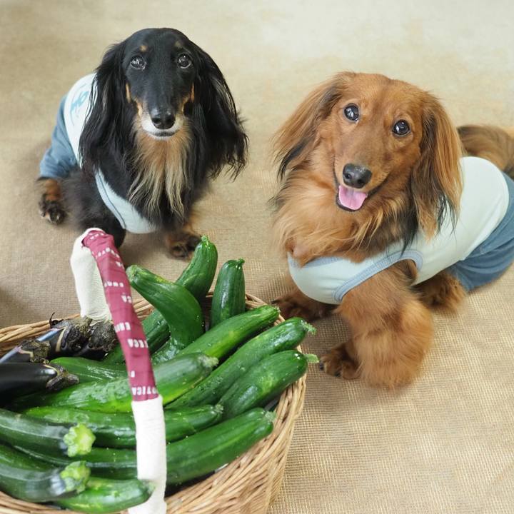 2f9073d2 c6f9 4566 8cc3 574015b472a7 1750384799032