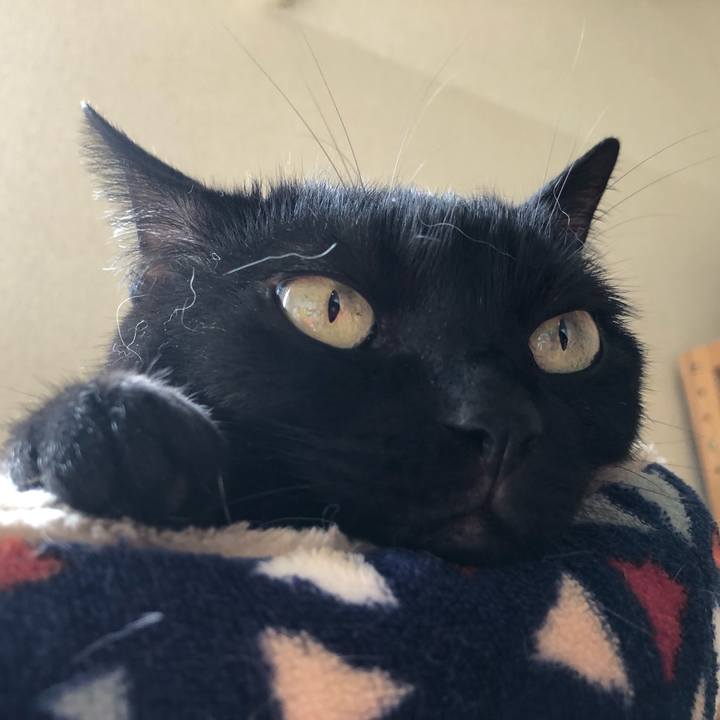 2f90b549 01d7 4d42 a1f3 4fd891ef2224 1629000659742