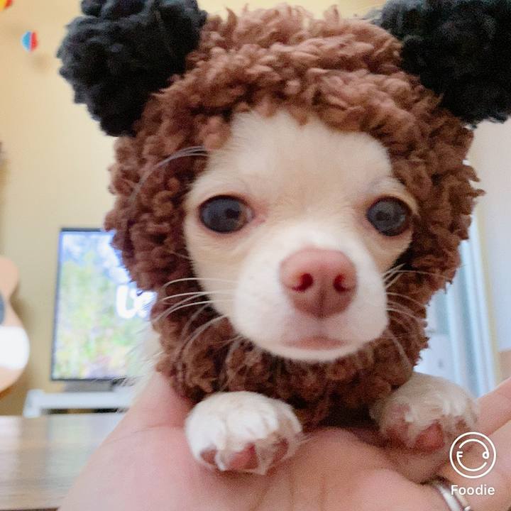 2f90ce7c f092 4ed9 b22f 29d6eb042f92 1604992381401