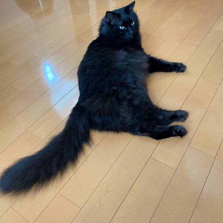 2f912d06 67b9 41c9 9c7b c65233e3d4f0 1595723487488