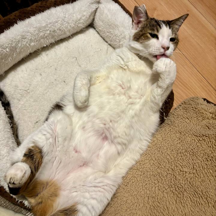 2f9131e5 8948 48ac 9957 d633b7fa2113 1763198863738