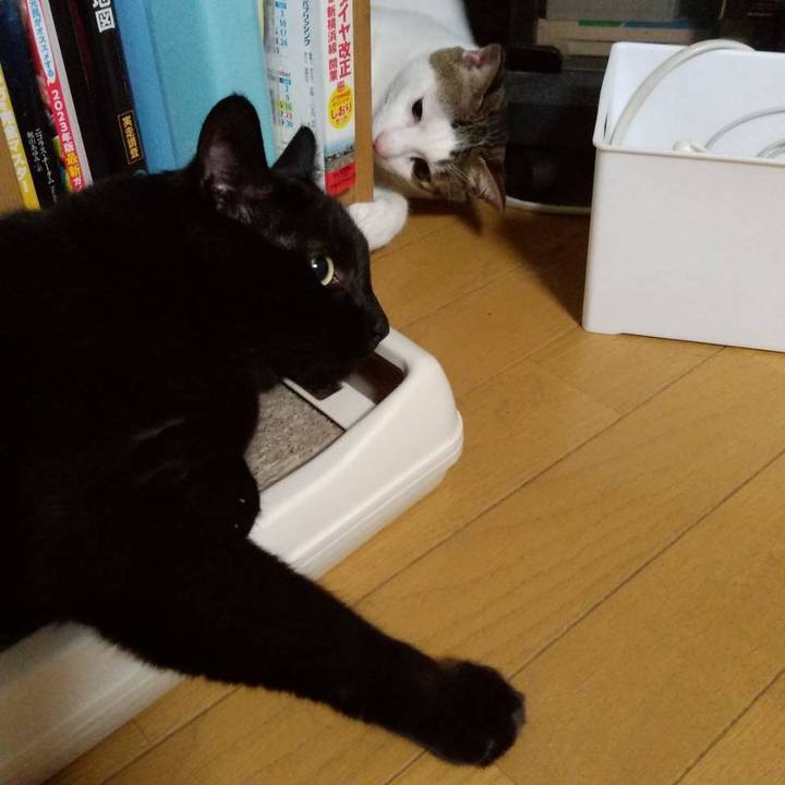 2f913888 3f70 4bd1 af90 7a3c14534e67 1694436176097