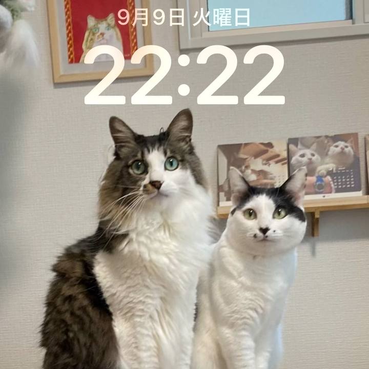 2f9145bb 6332 4889 98e0 43cb9b380ce7 1757424228351