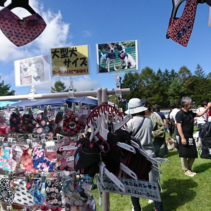 2f916849 1e36 4f59 96e3 b064bbe54e8e 1537679150085