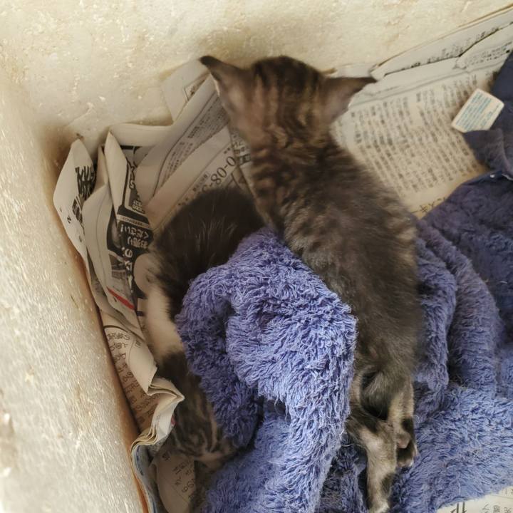 2f91695d 6dc9 4f86 8a3c 361e7778691f 1756127497618