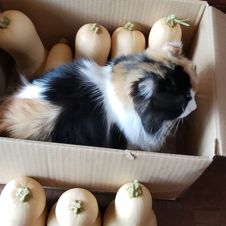 2f916e9c 7dcb 4196 9783 3c59f8890b93 1599003666426