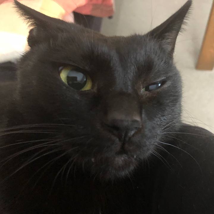 2f919212 7f76 4793 a80d a0635c2e5113 1670019693862