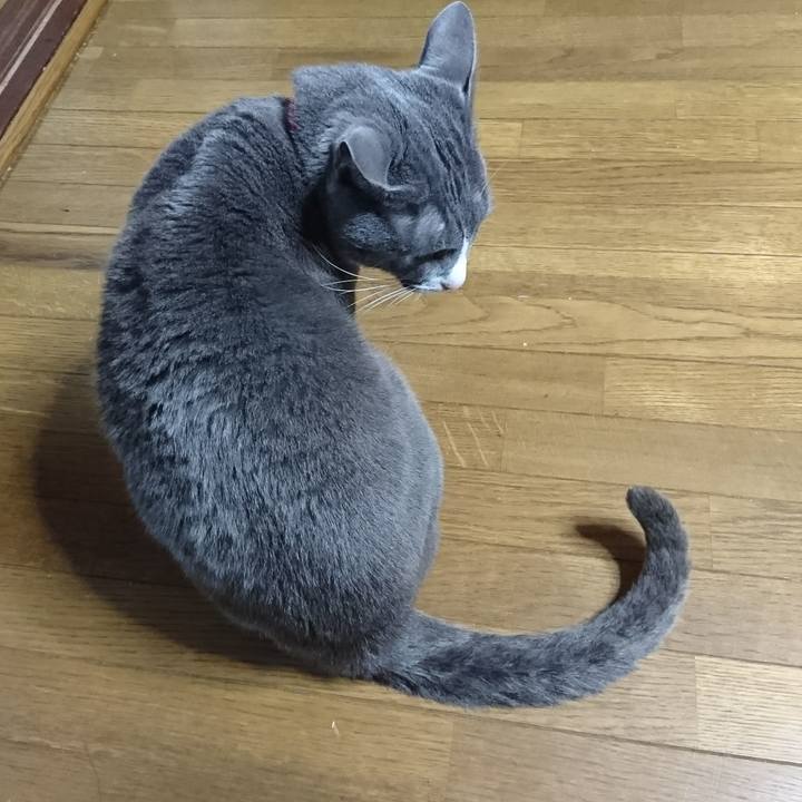 2f91a242 06e1 46b8 a62b 8d5c3a3f6c83 1509010983049