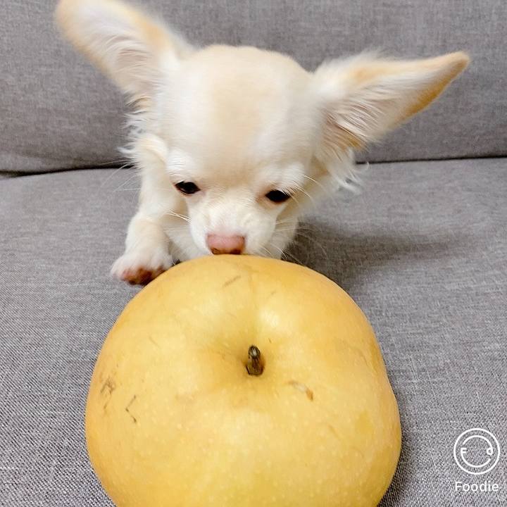 2f91b6d7 0535 4a09 bdbe 69e7c16c2f31 1601882049778