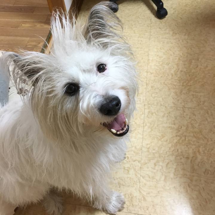 2f91bf2e ee61 480b ab8f c58638c0596f 1513255935374