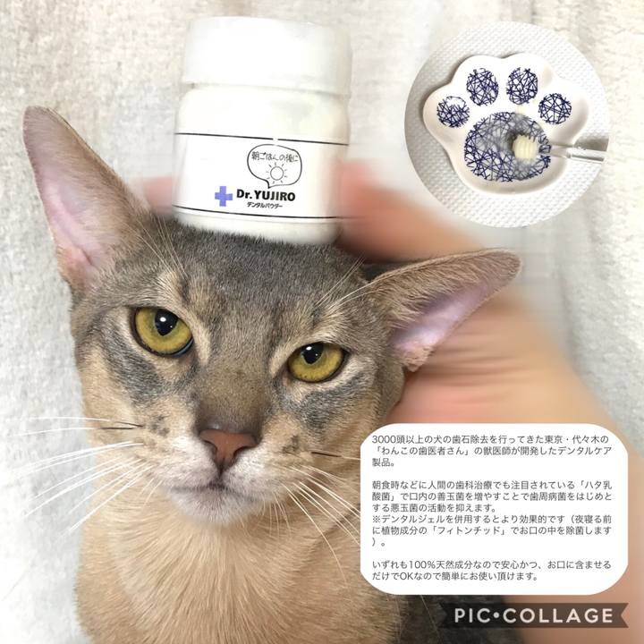 2f91c72e 7373 4cc4 8268 e85398718517 1601734536704